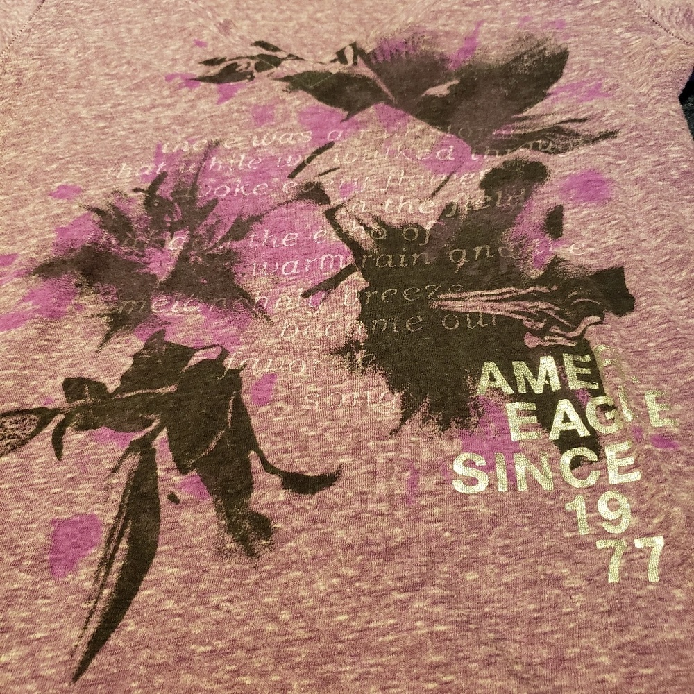 American Eagle Outfitters V-Neck